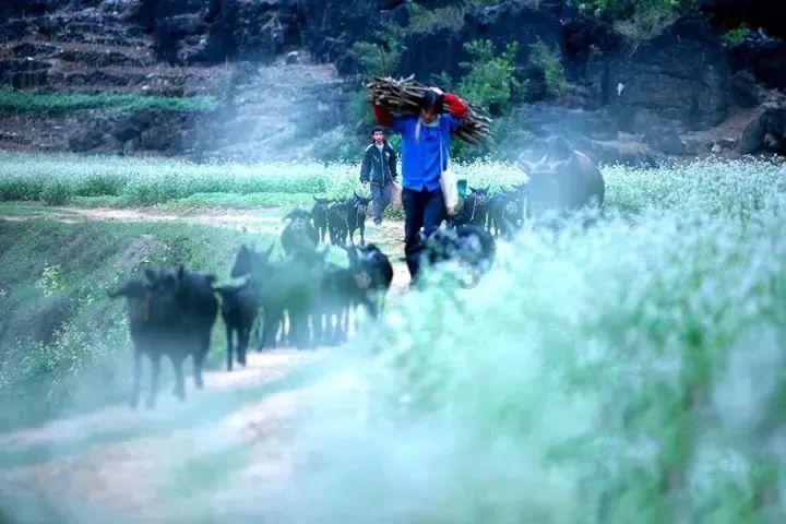 “一花一世界，一叶一如来”这句话出自哪里游戏画面