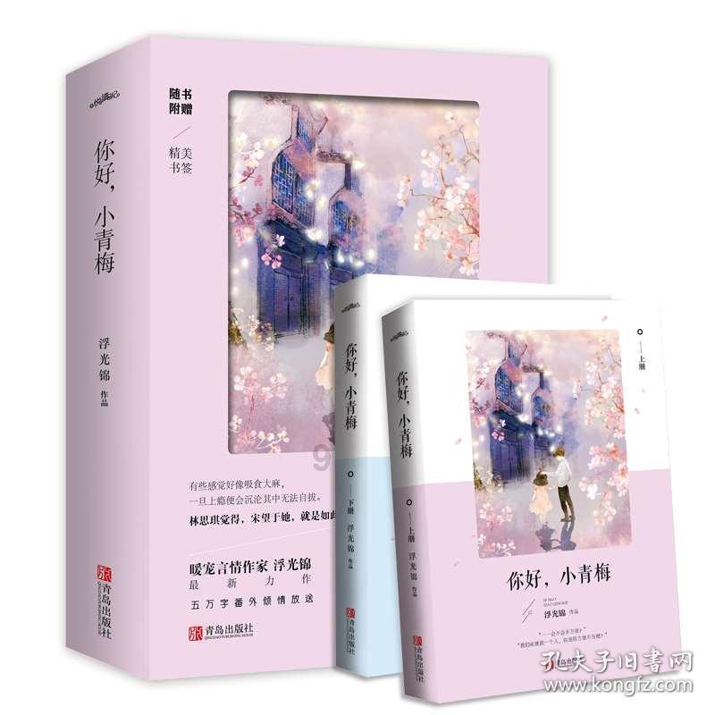 全战：幕府将军2