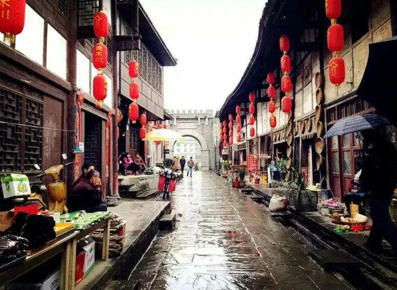 【新春走基层】“豆豆”成长记